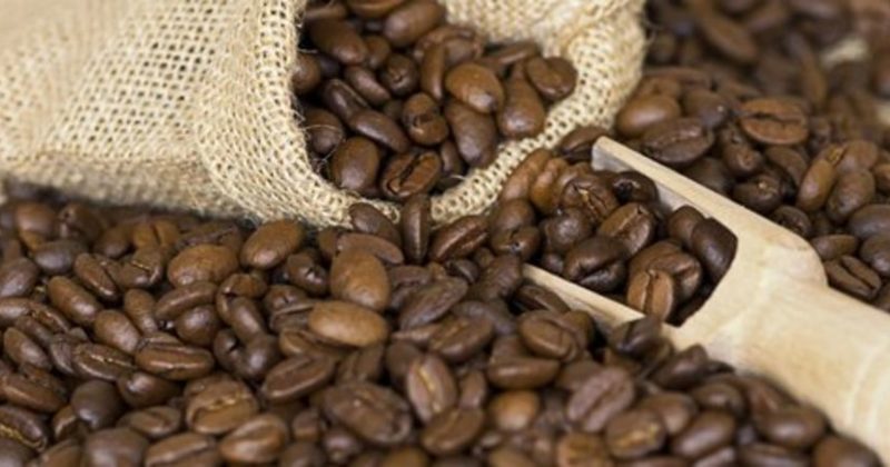 Beneficios del café Civattino de DXN