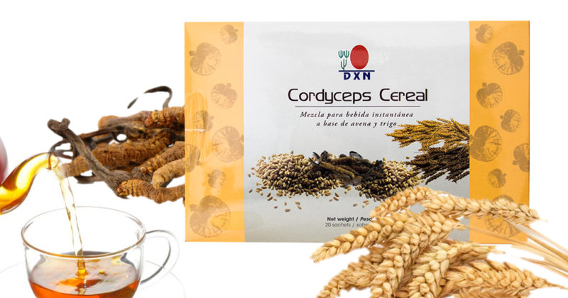 Beneficios del Cordyceps Cereal de DXN