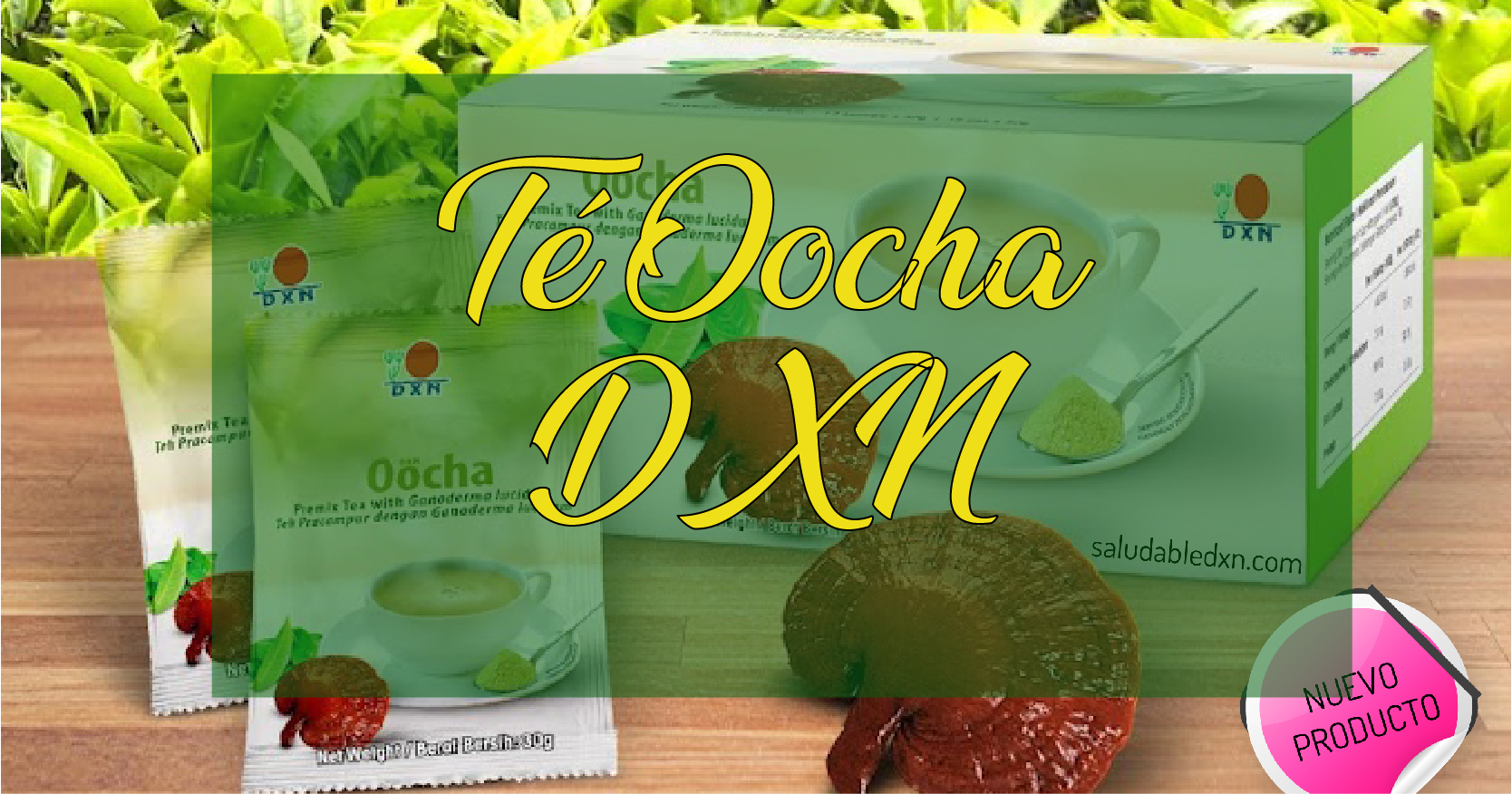 Beneficios Del Nuevo Producto Oocha De Dxn Dxn CafÉ Saludable 0982