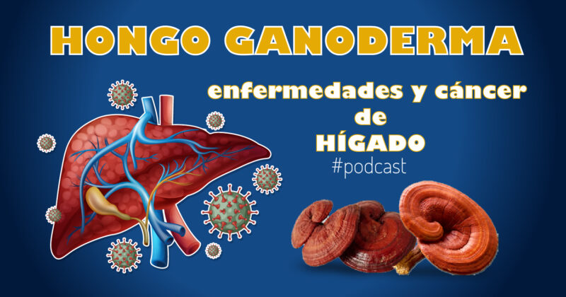 Ganoderma como tratamiento para enfermedades y cáncer de hígado.